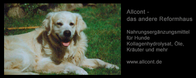 http://www.allcont.de